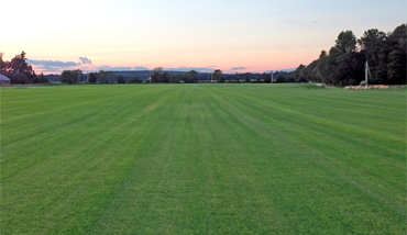 Laurel Brook Turf Sod